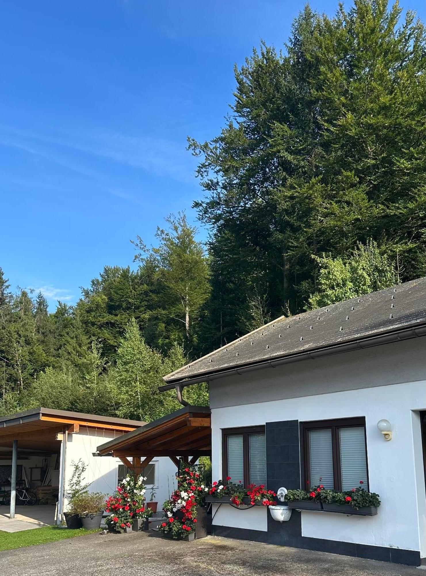Ferienwohnung Waldblick, Faaker See Oberaichwald  Eksteriør bilde